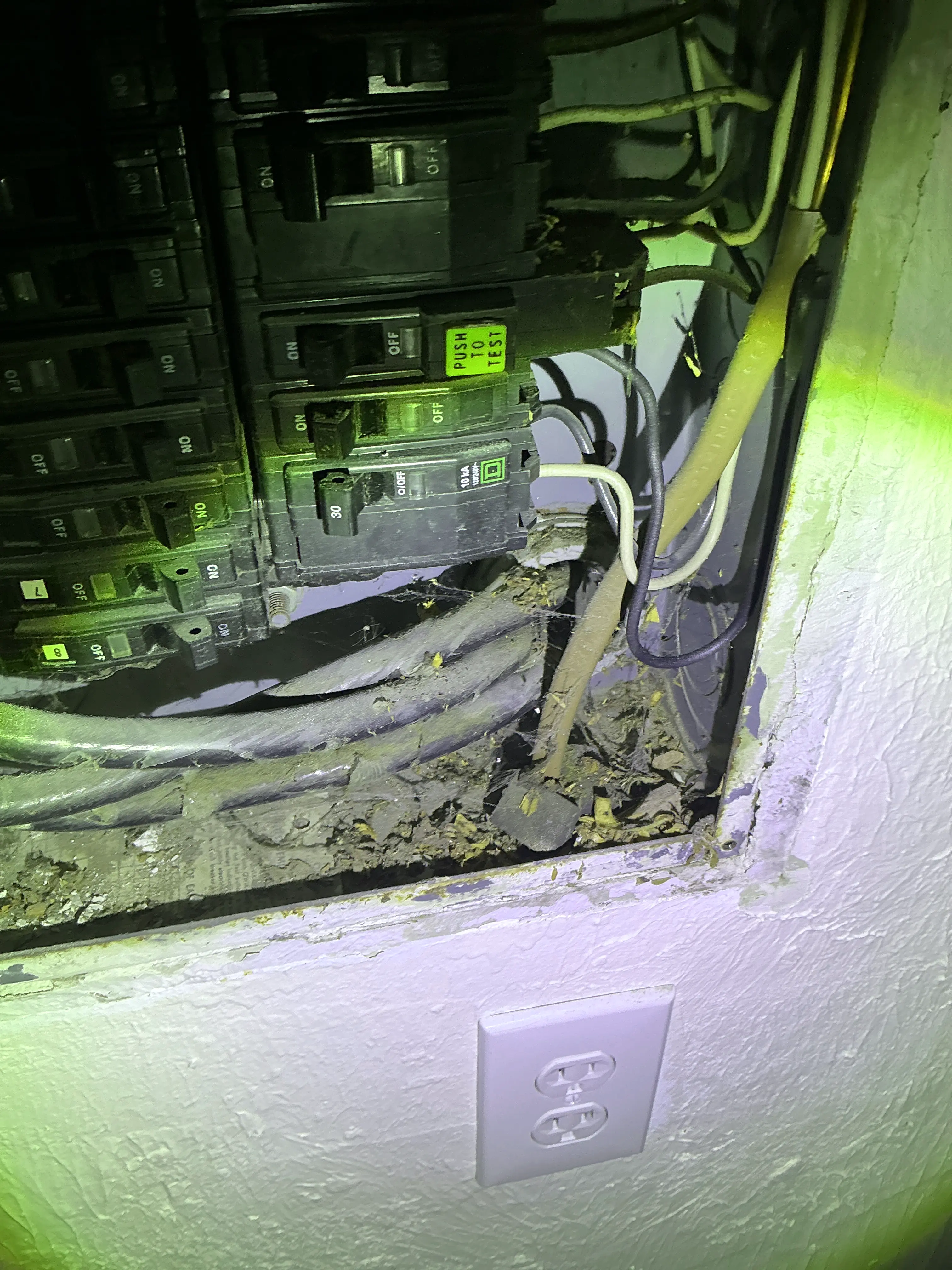 Debris and rodent nesting materials found inside an open electrical panel enclosure during a general inspection. 2026-07-24