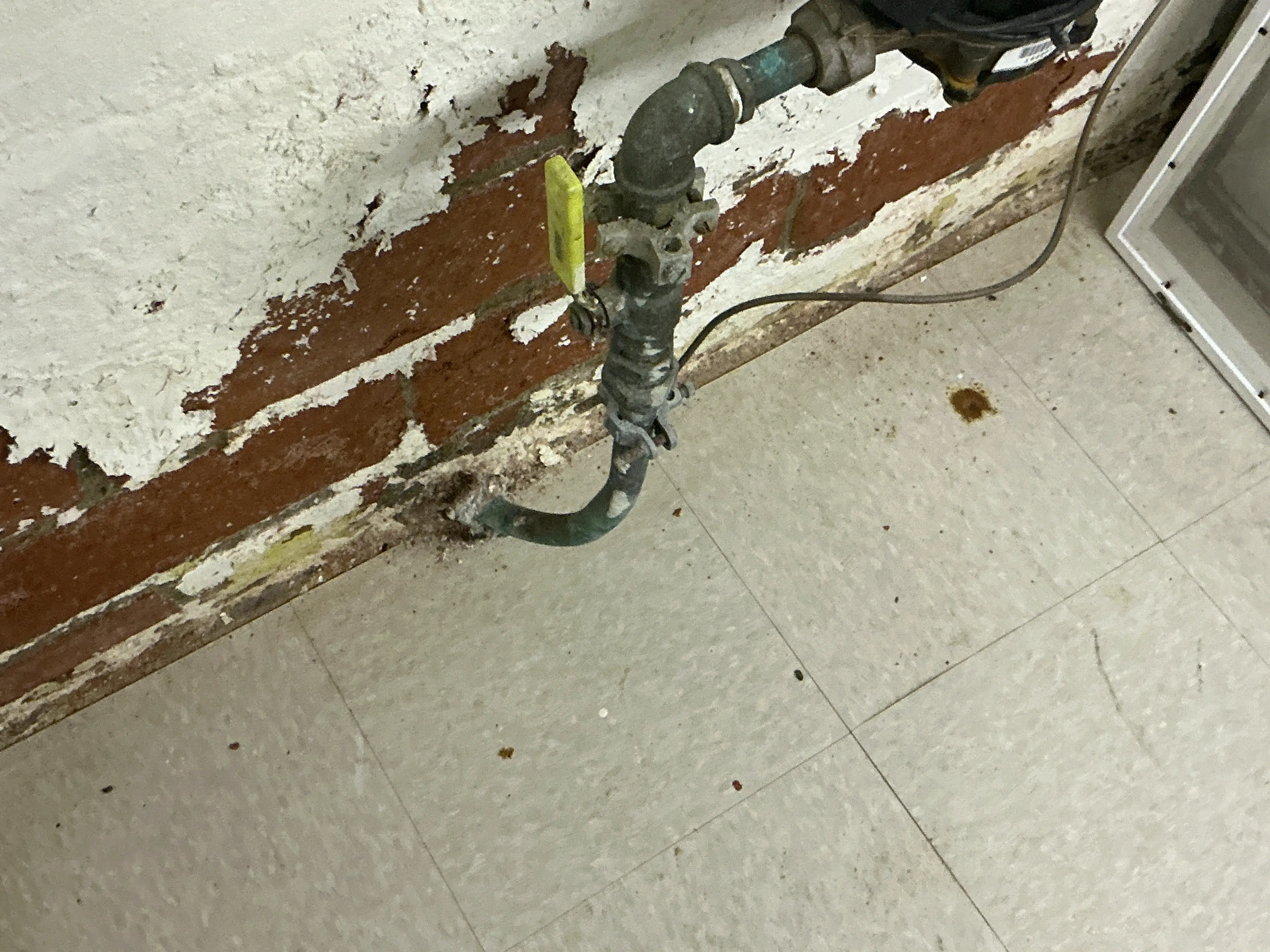 Peeling paint and efflorescence on basement brick foundation wall near water supply pipe. 2026-09-01