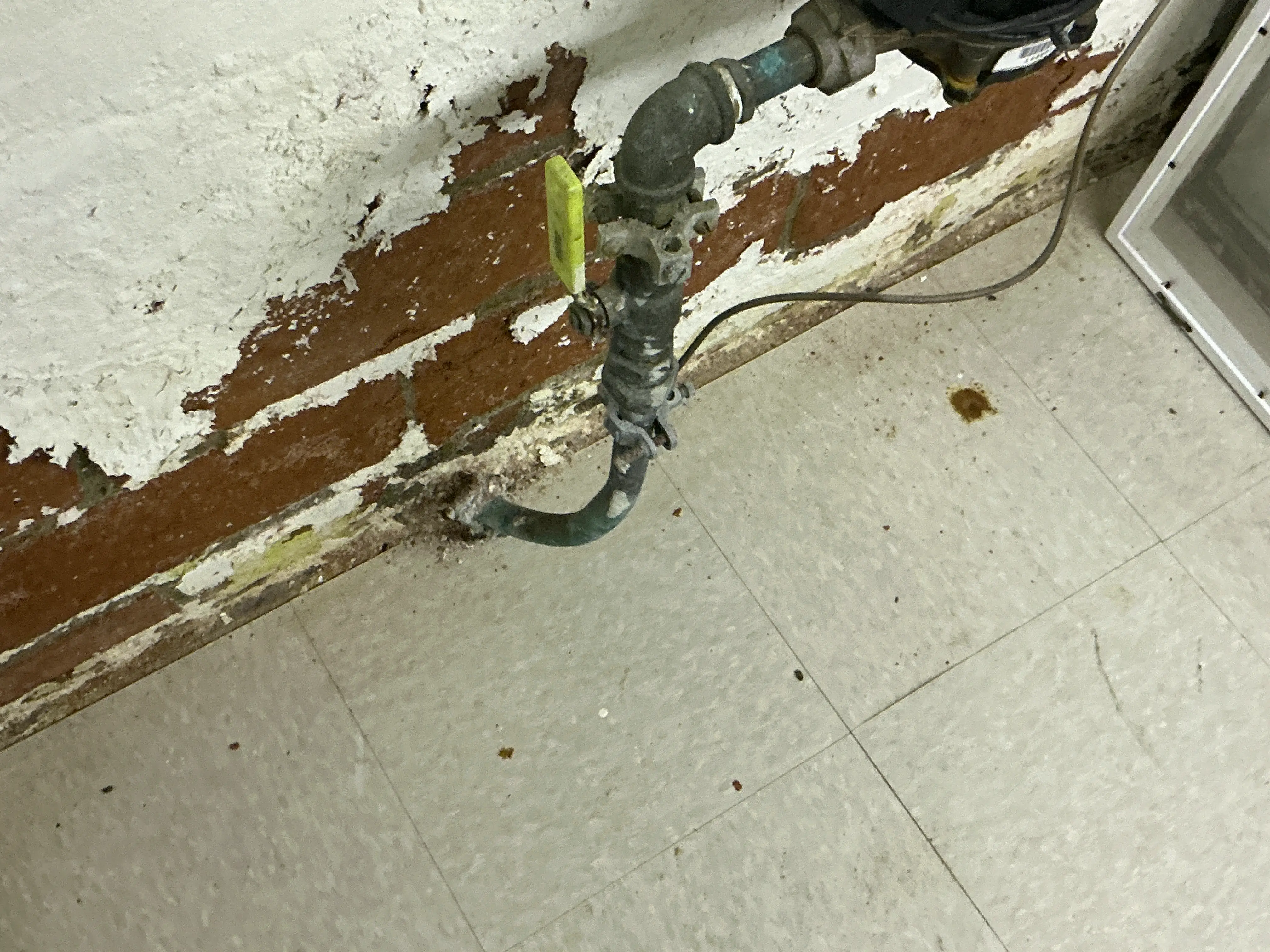 Peeling paint and efflorescence on basement brick foundation wall near water supply pipe. 2026-07-28