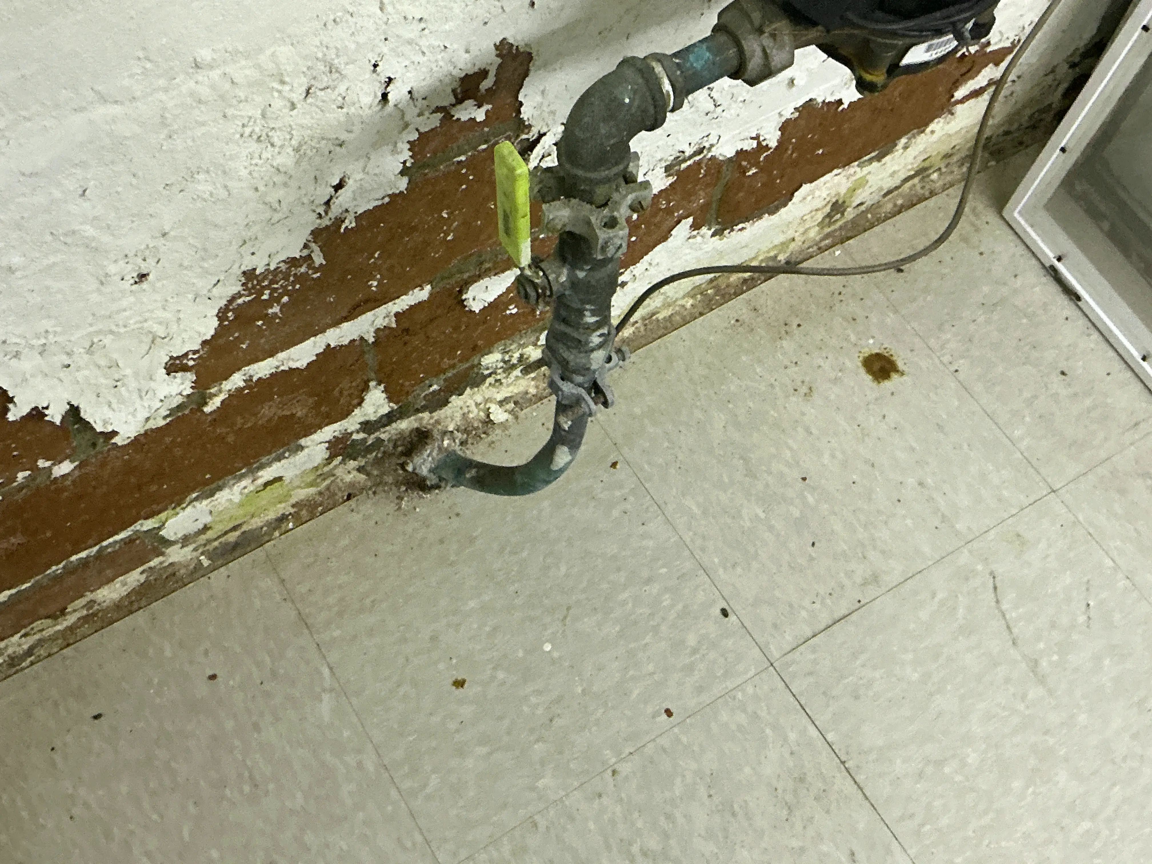 Peeling paint and efflorescence on basement brick foundation wall near water supply pipe. 2026-07-29