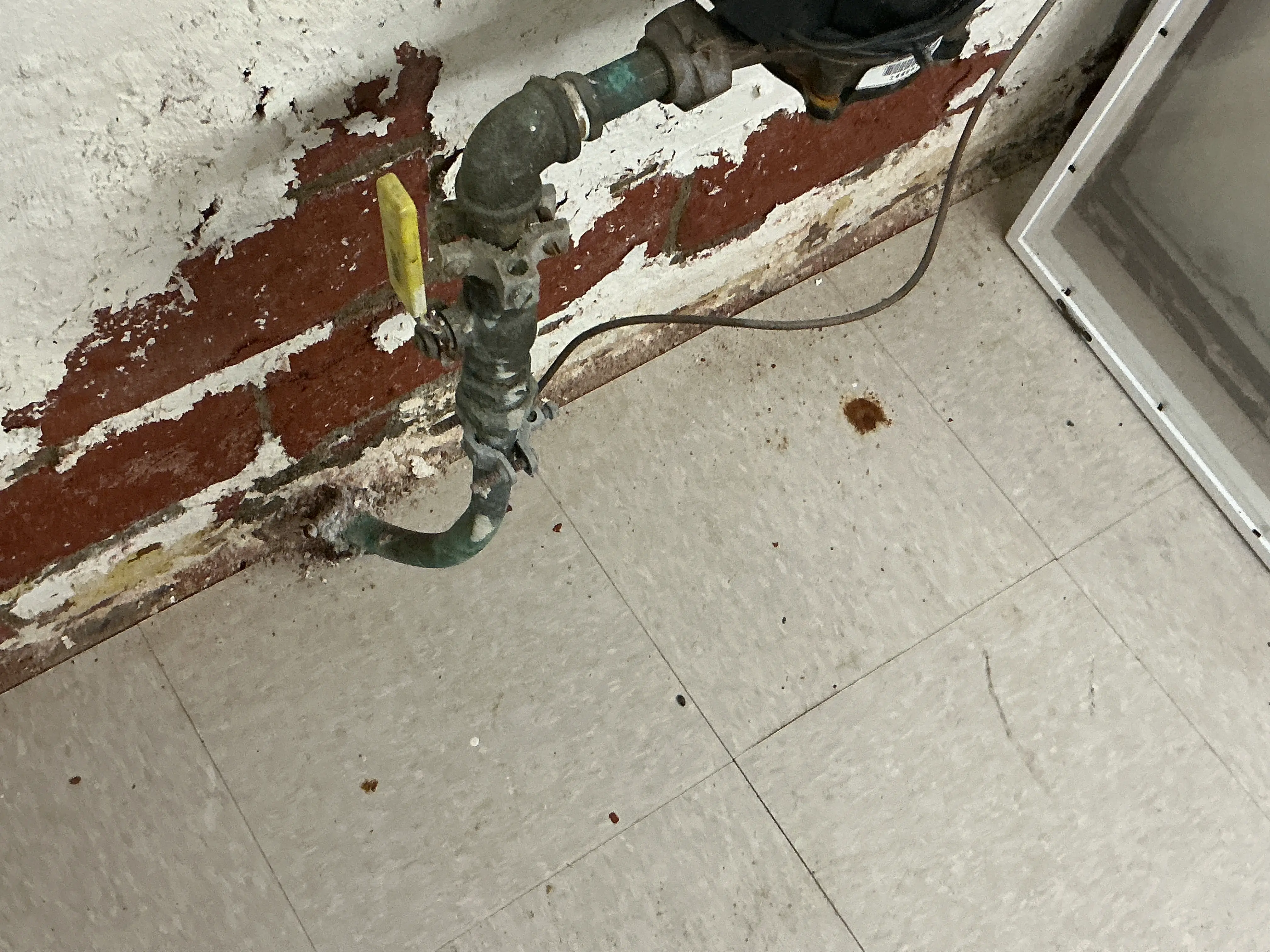 Water supply line entering basement wall with efflorescence and paint damage 2026-07-05