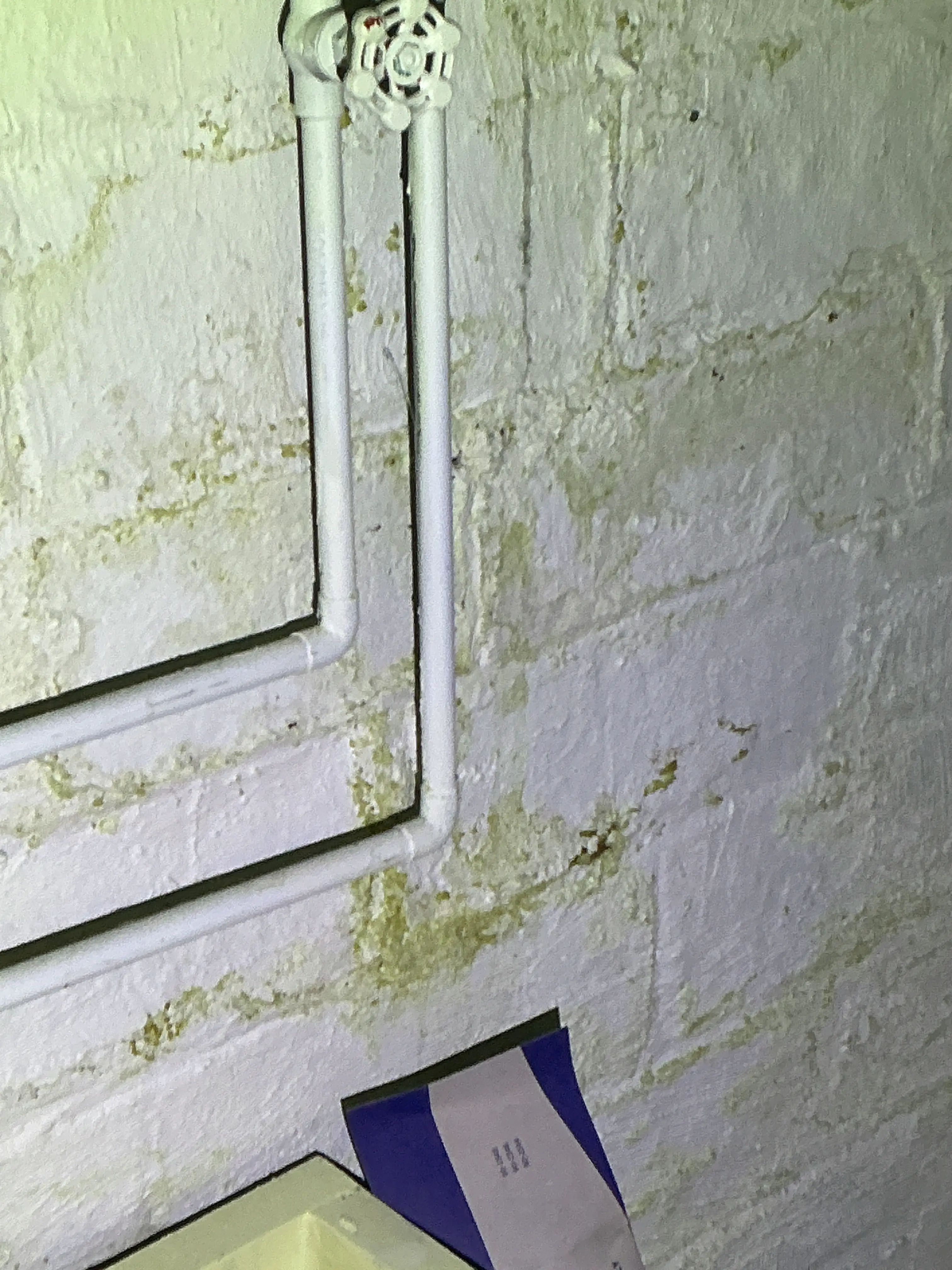 Water stains and moisture damage on painted basement block wall near white plumbing pipes 2026-08-04