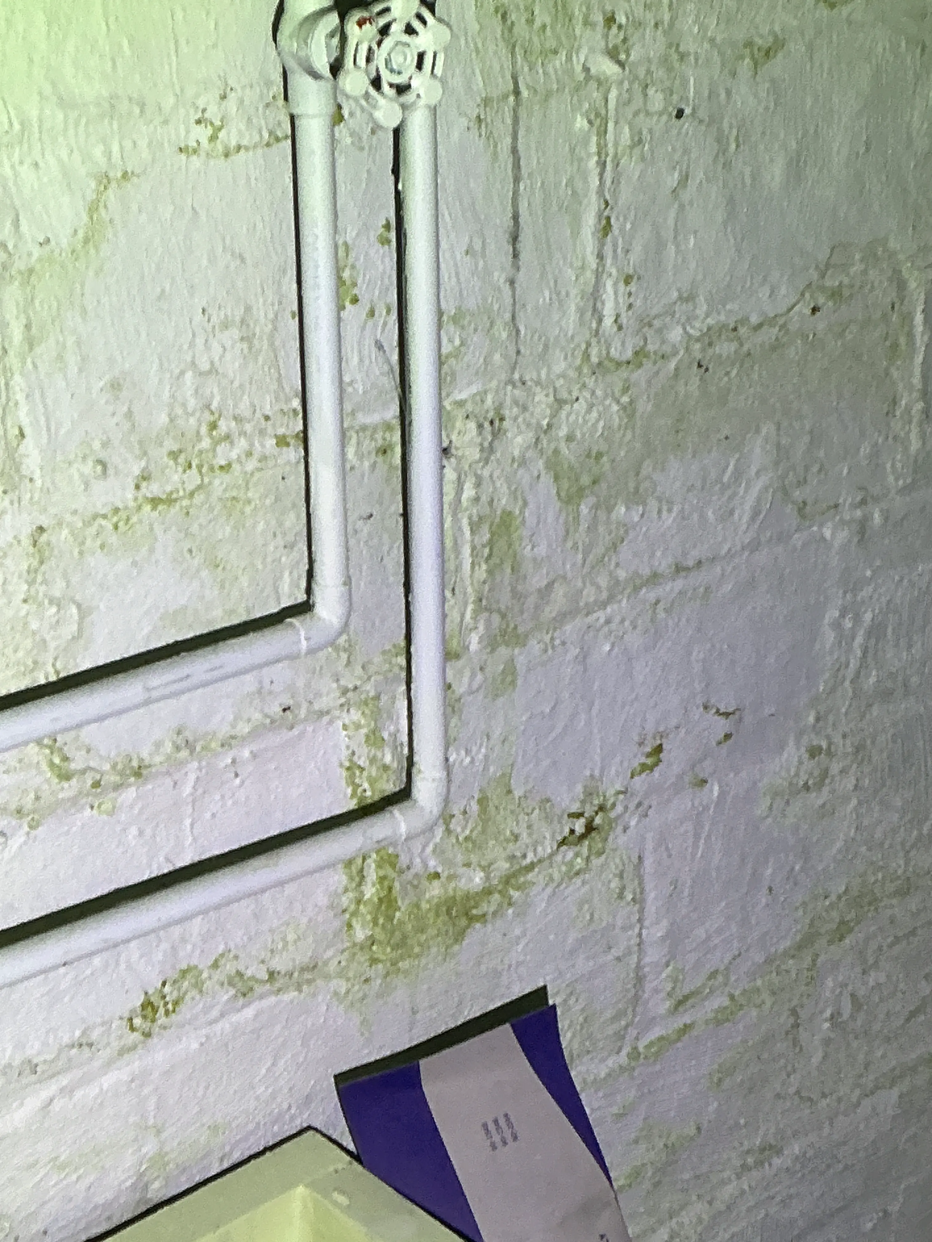 Water stains and moisture damage on painted basement block wall near white plumbing pipes 2026-07-07