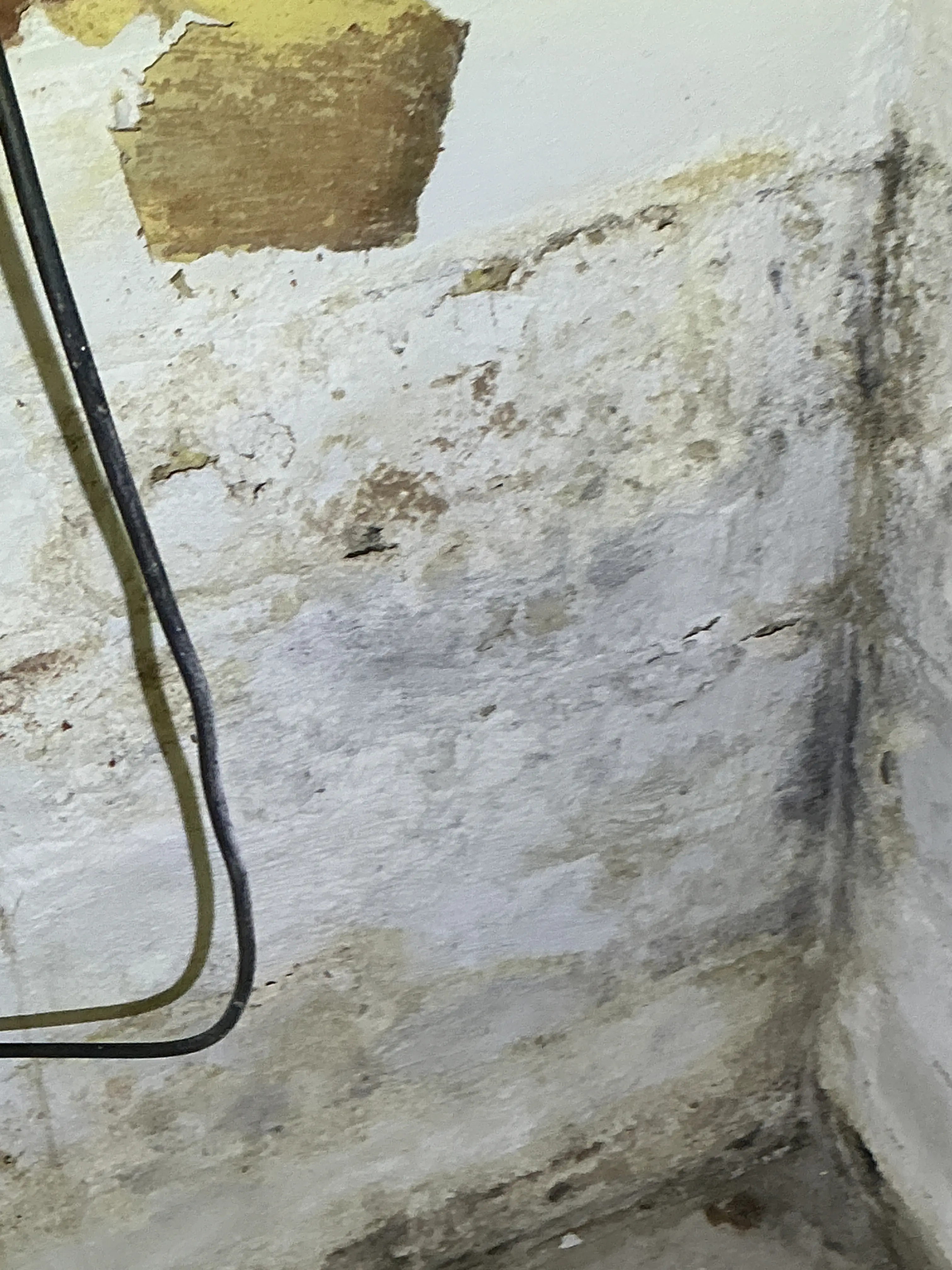 Severe water damage, peeling plaster, and mold staining on interior wall near ceiling corner 2026-07-13