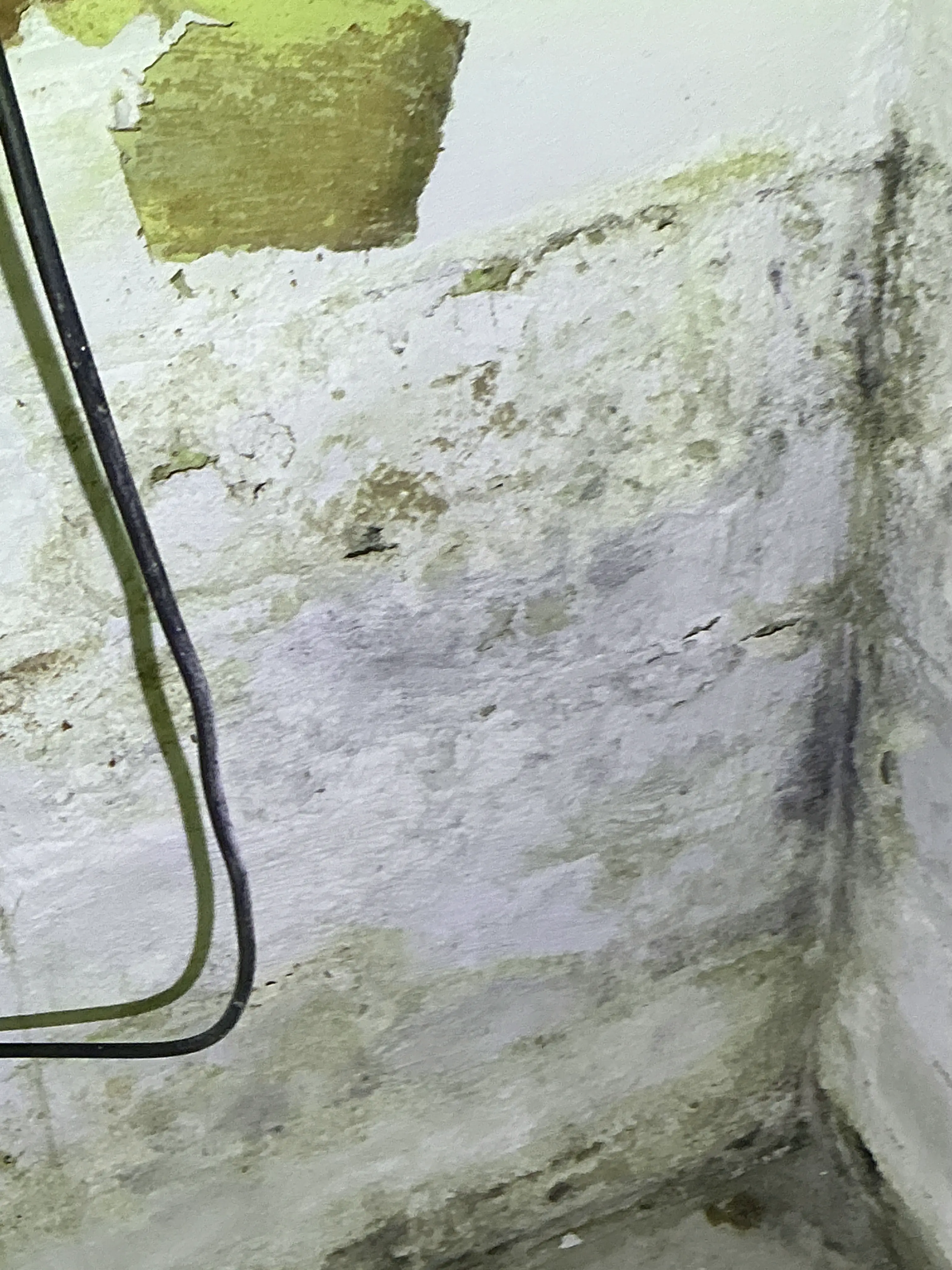 Severe water damage, peeling plaster, and mold staining on interior wall near ceiling corner 2026-07-25