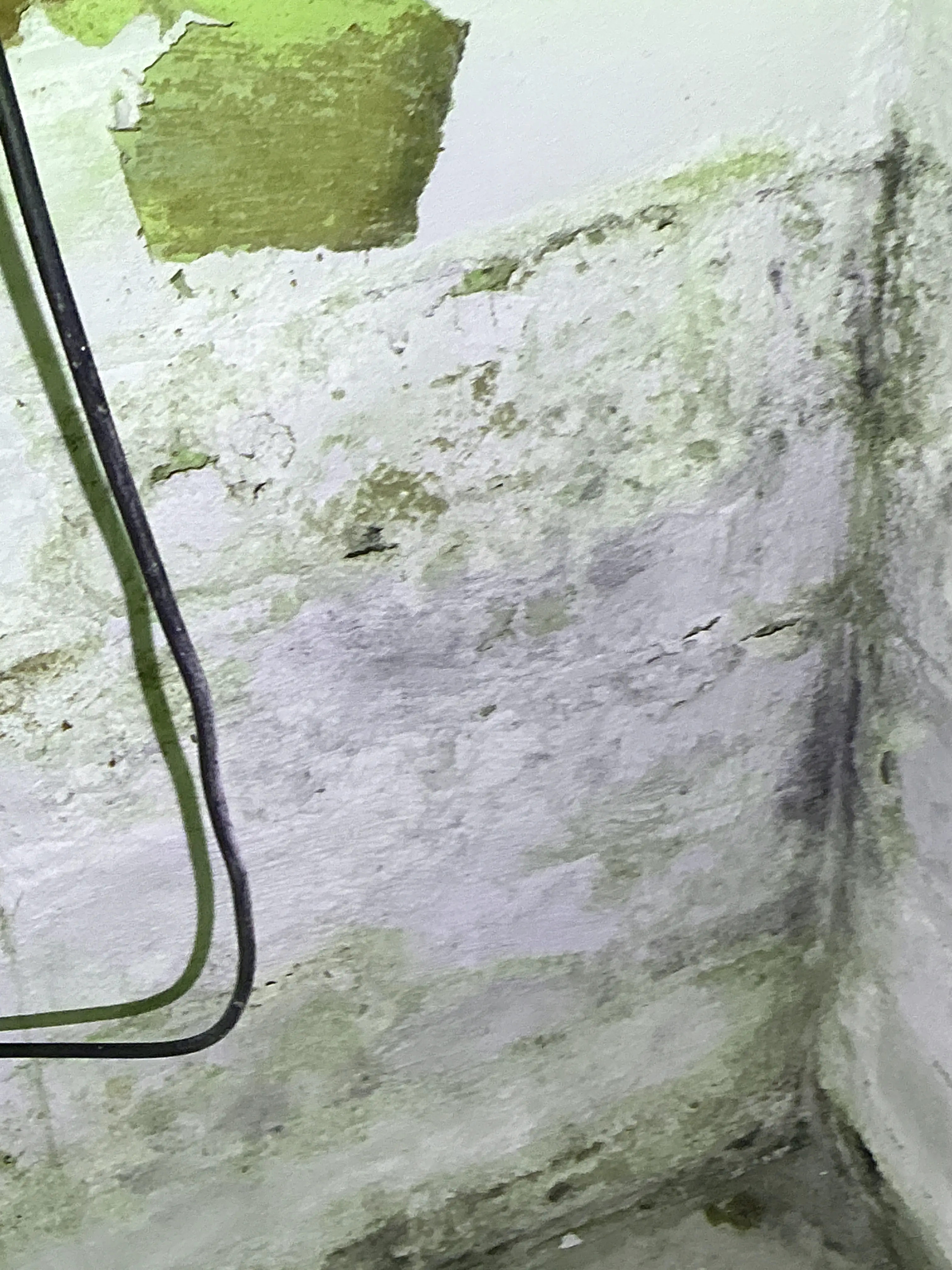 Severe water damage, peeling plaster, and mold staining on interior wall near ceiling corner 2026-07-18