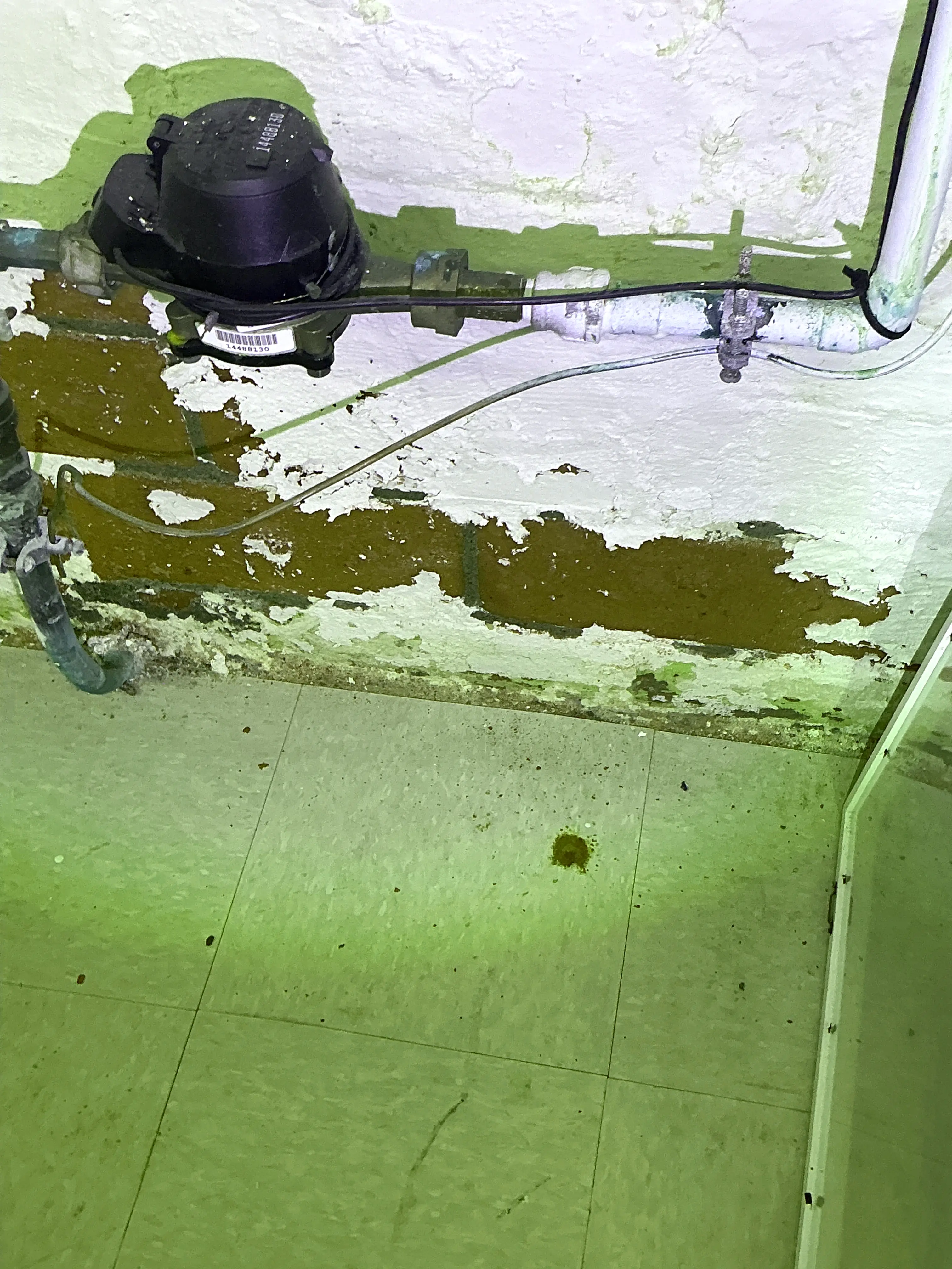 Water meter and pipes mounted on a masonry wall with extensive peeling paint and moisture damage 2026-08-18