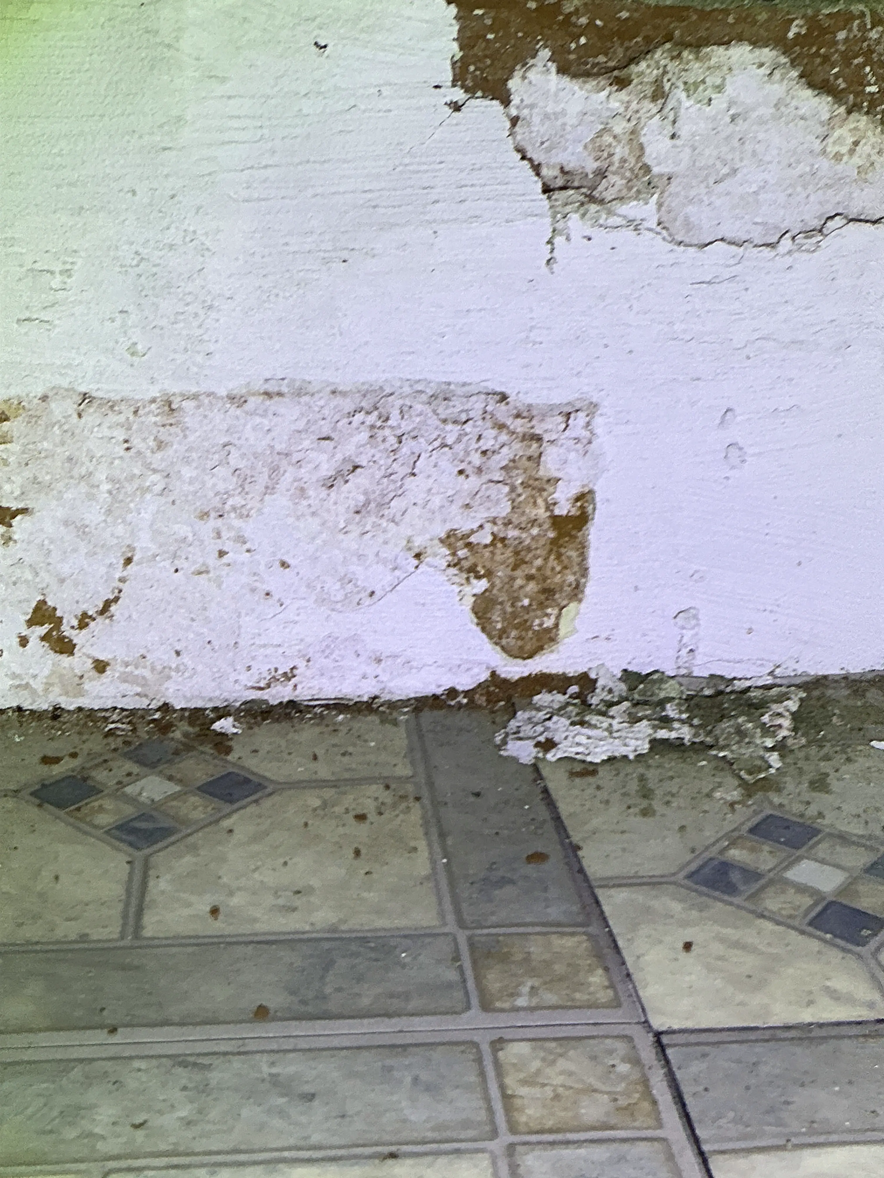 Water damage and peeling paint on wall near tile floor during home inspection 2026-08-05