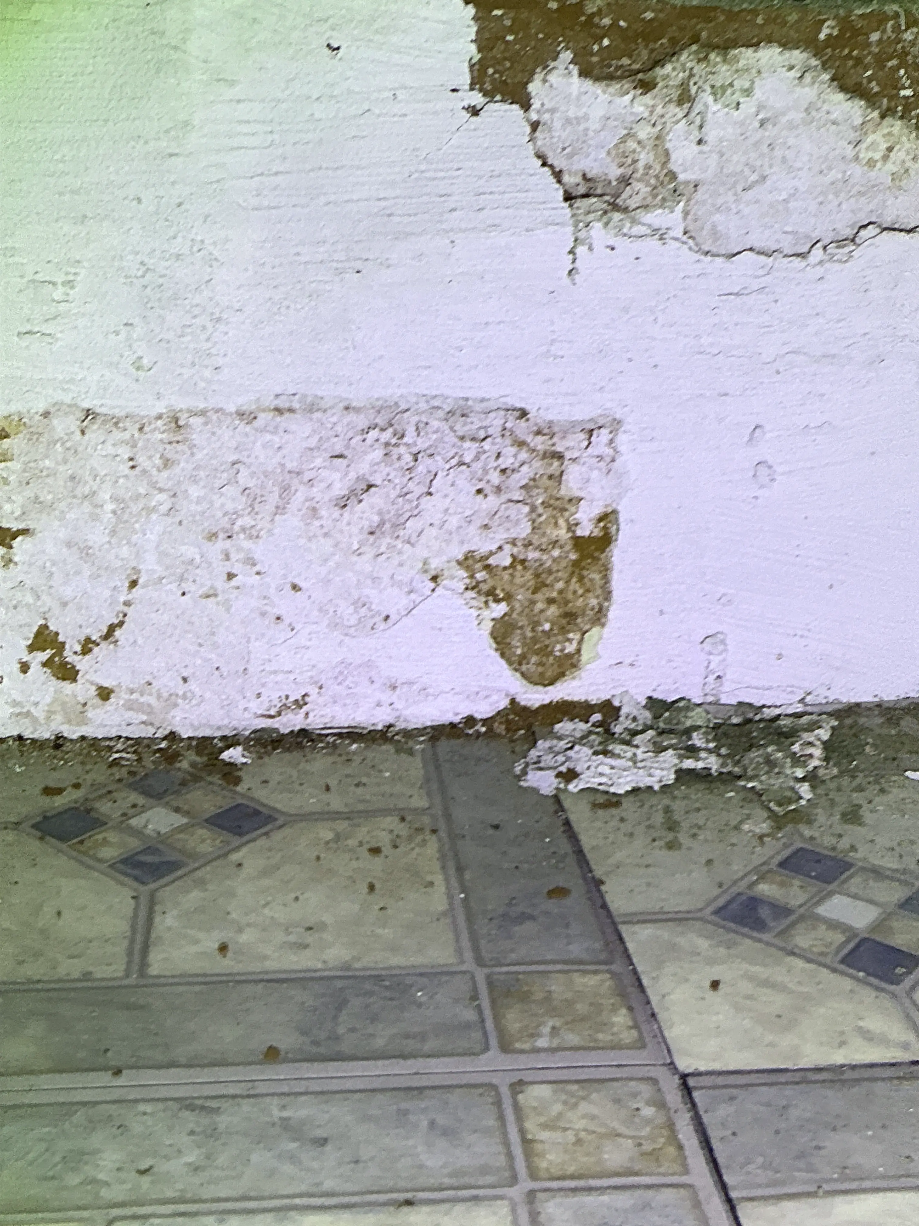 Water damage and peeling paint on wall near tile floor during general inspection 2026-07-18