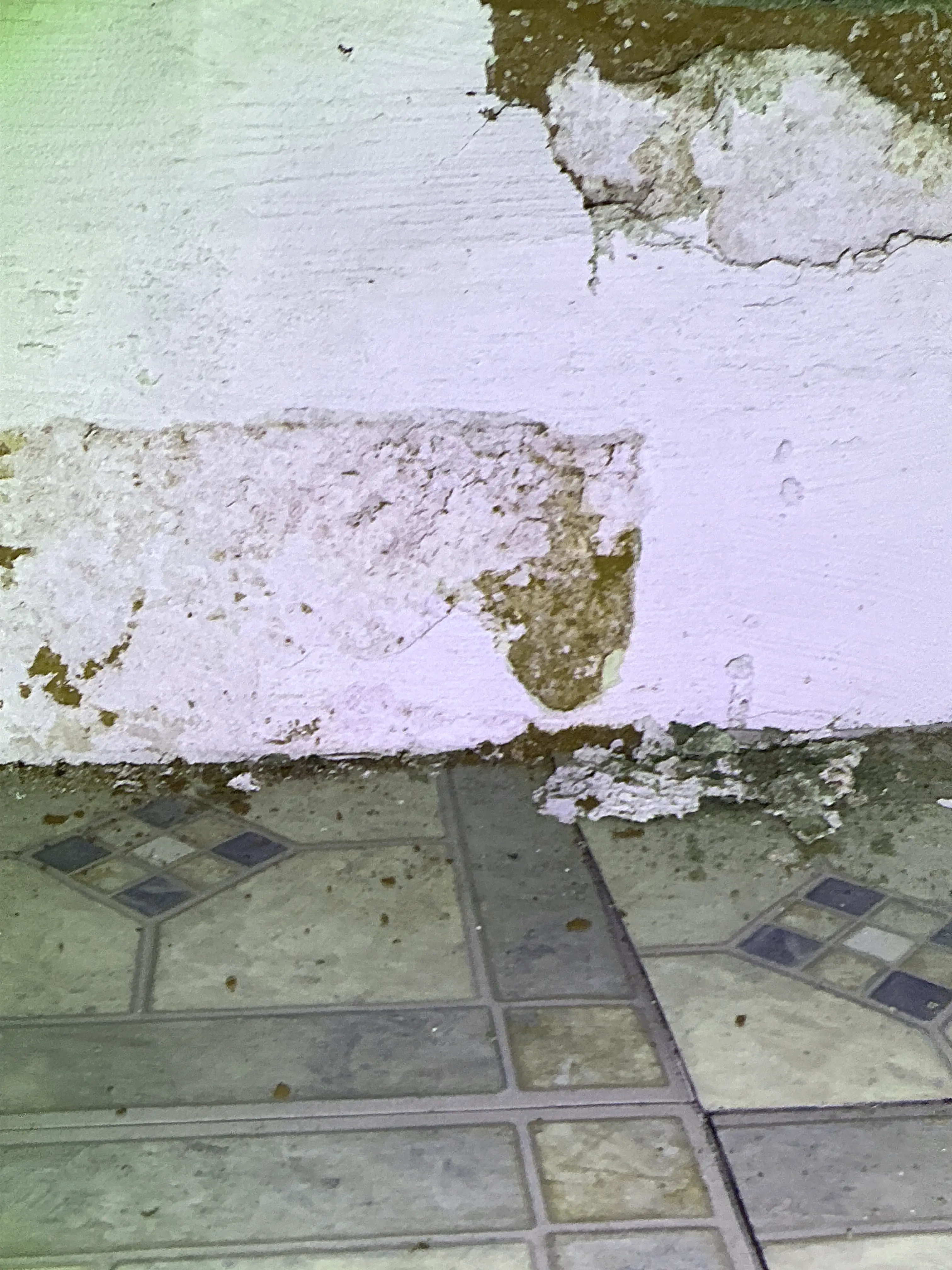 Water damage and peeling paint on wall near tile floor during home inspection 2026-08-05