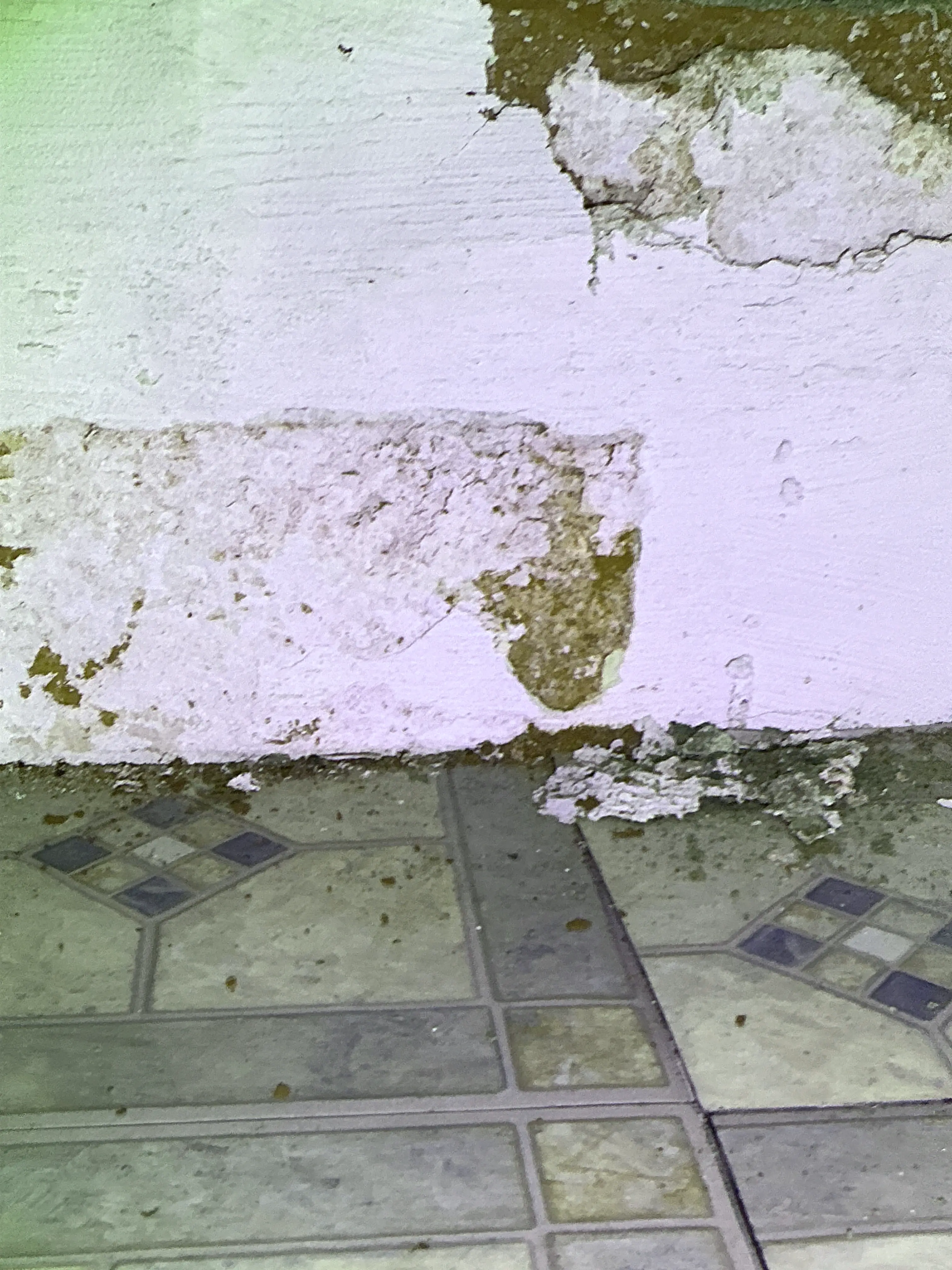 Water damage and peeling paint on wall near tile floor during home inspection 2026-08-26