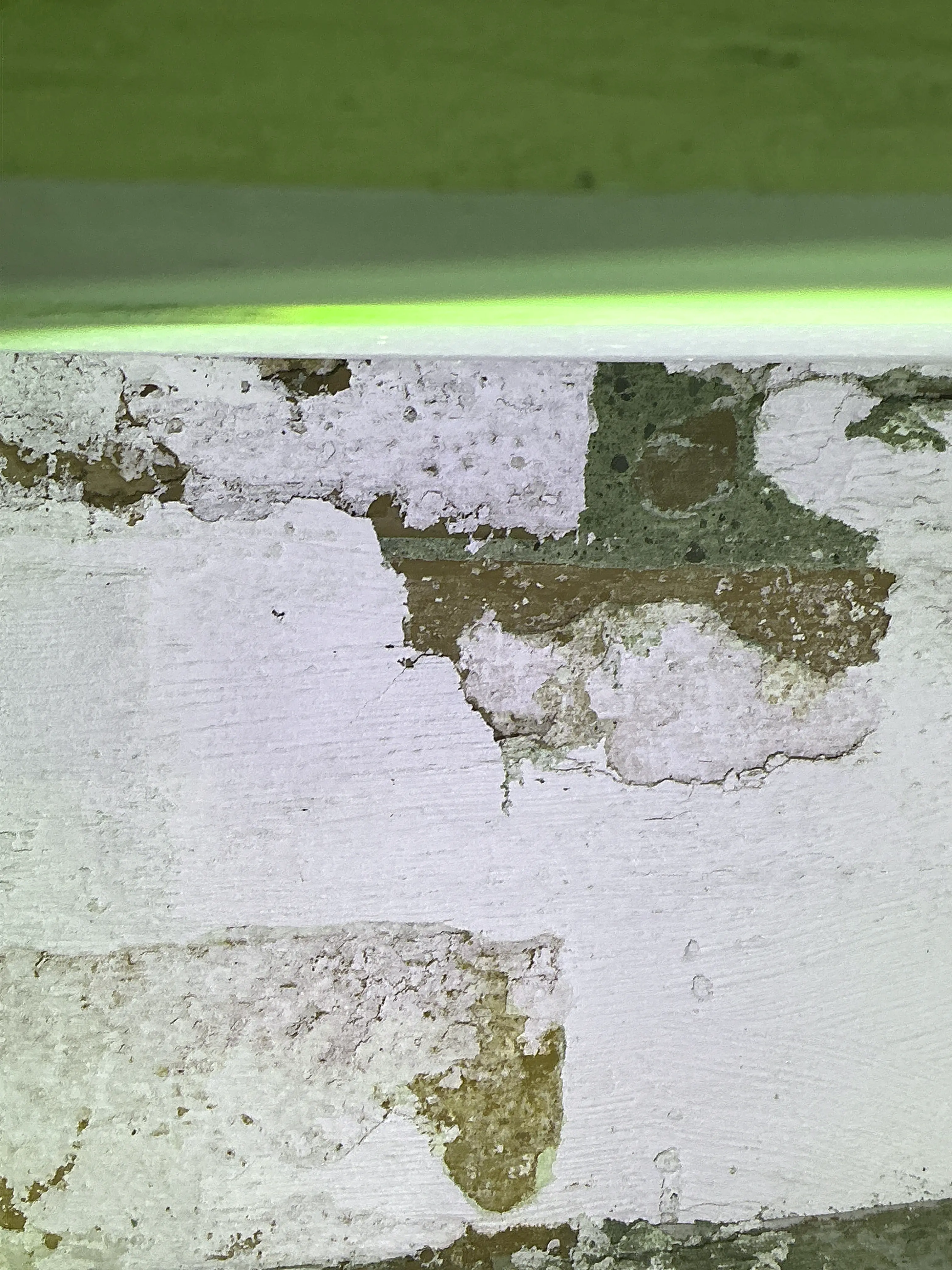 Peeling paint and damaged plaster wall exposing substrate 2026-08-19