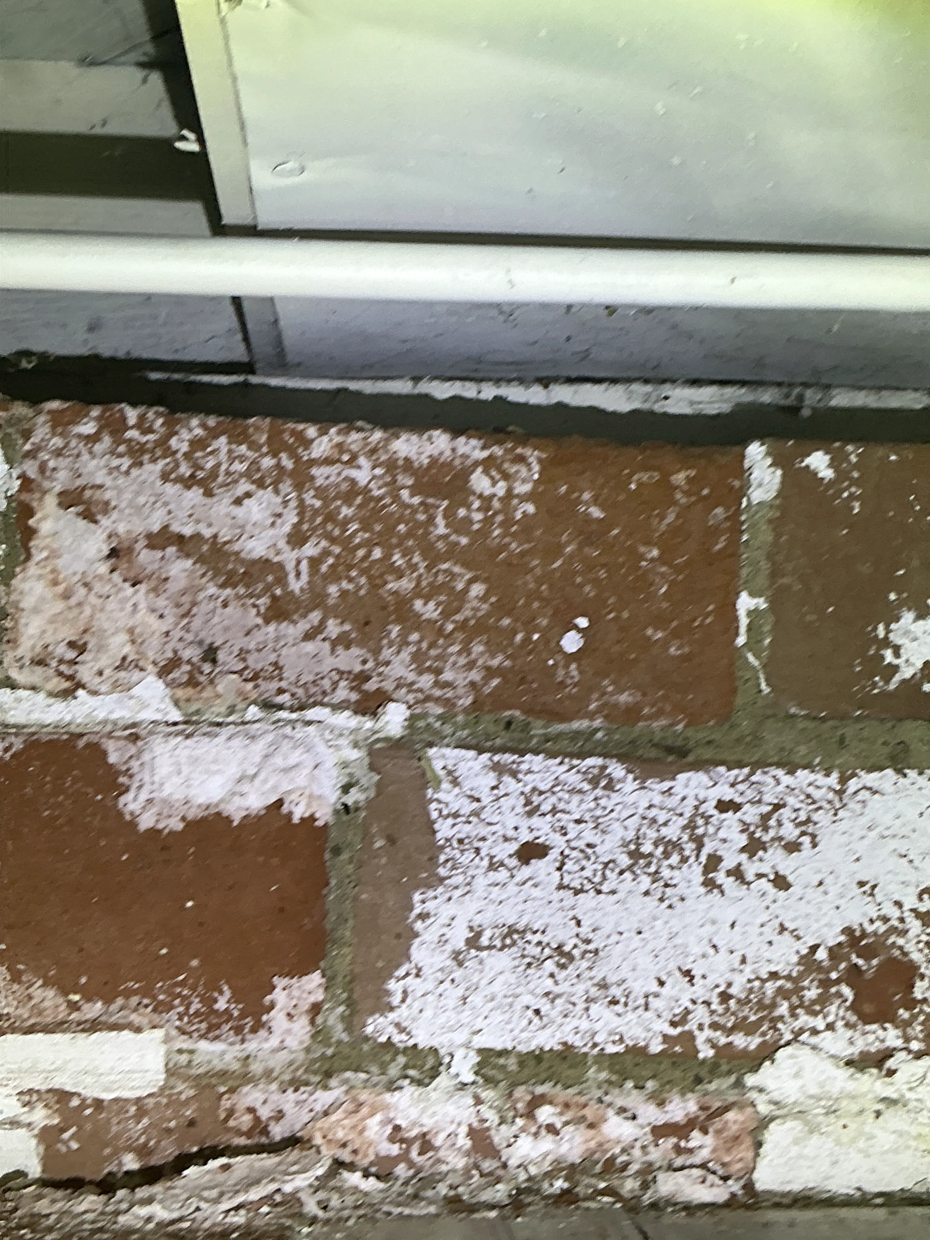 Efflorescence and white mineral buildup on red brick wall during mold testing 2026-07-28