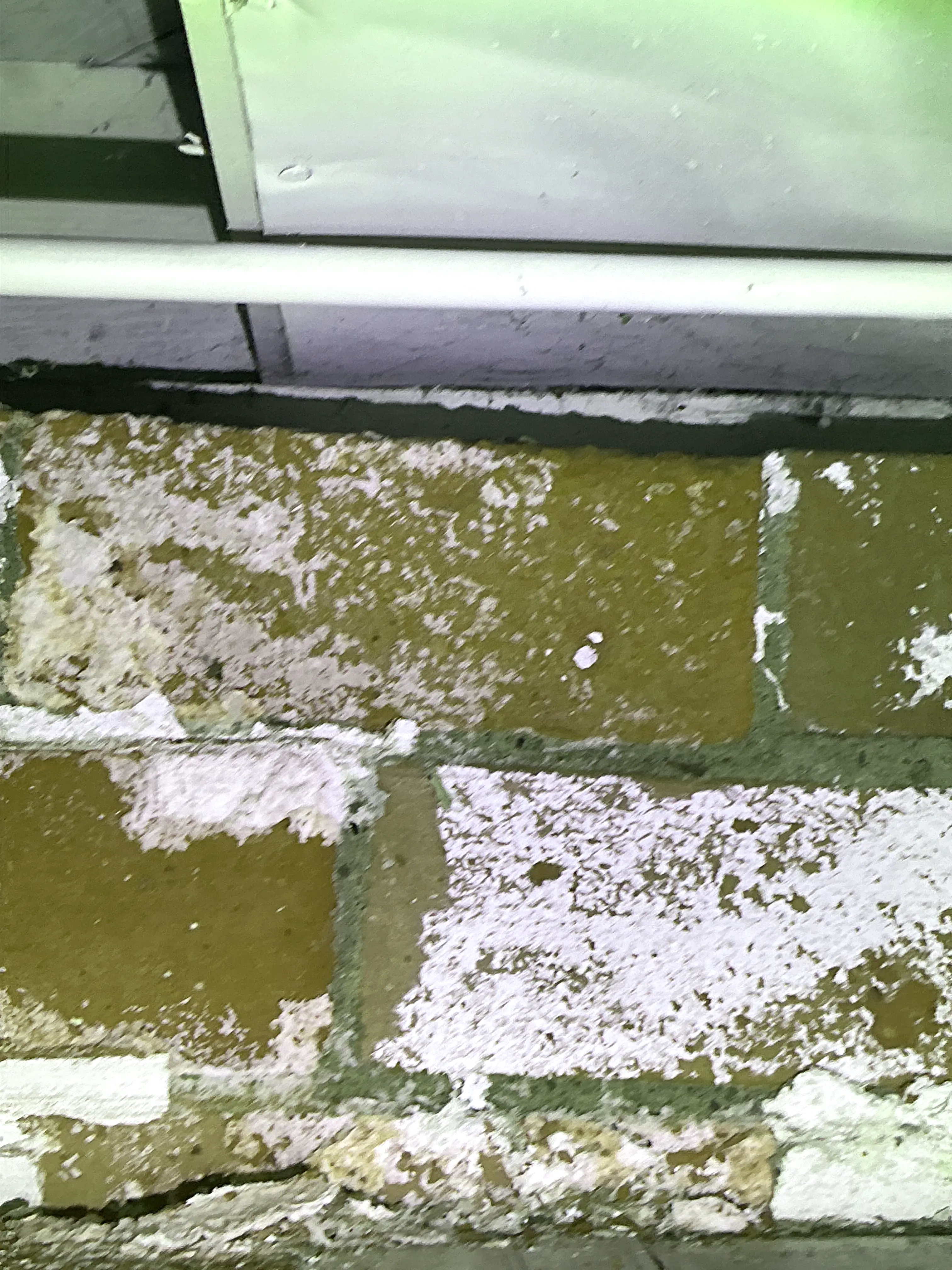 Efflorescence and white mineral buildup on red brick wall during mold testing 2026-07-09