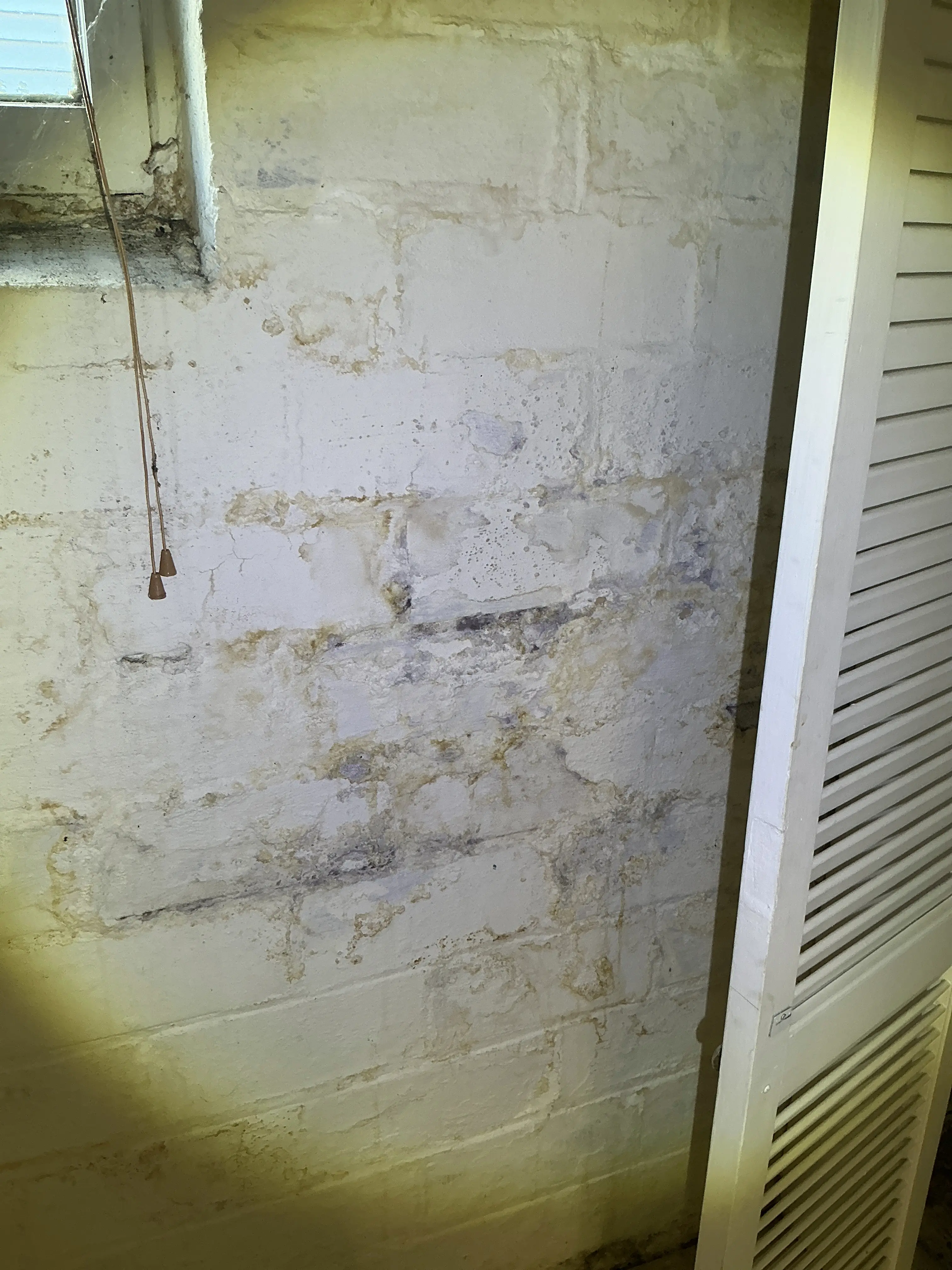 Severe water damage and efflorescence on interior wall during lead inspection 2026-08-16