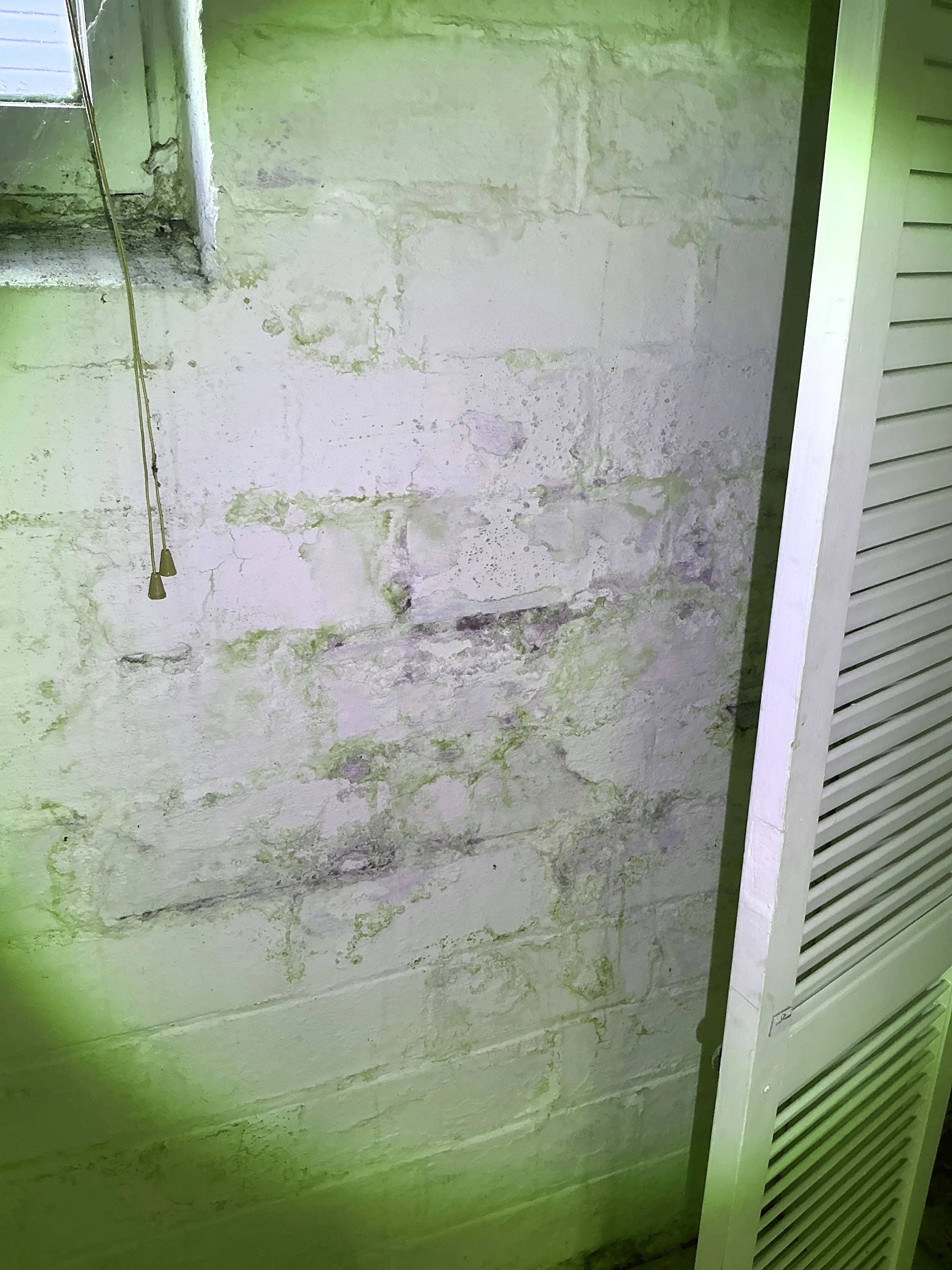 Severe water damage and efflorescence on interior wall during home inspection 2026-07-29