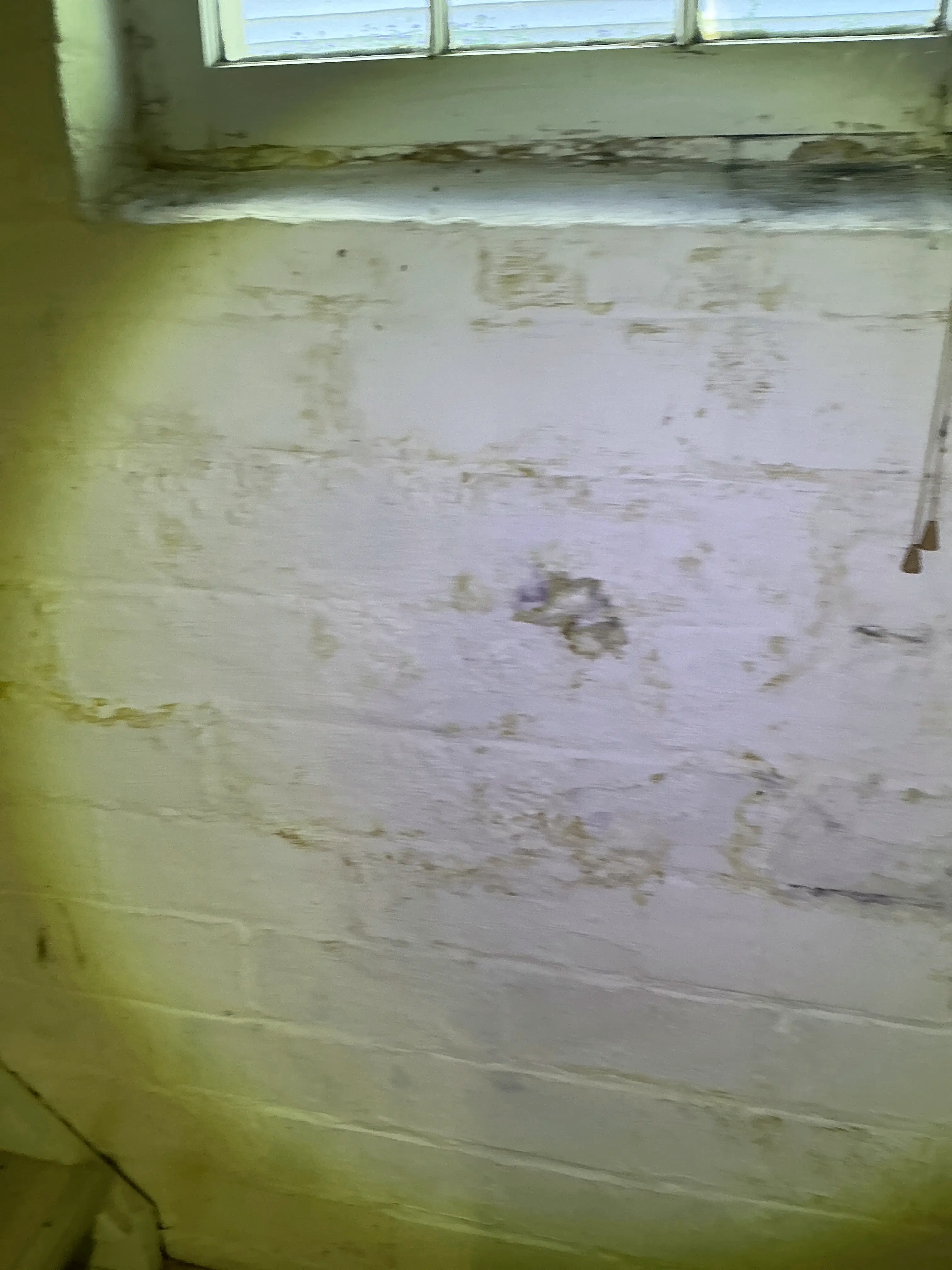 Water damage staining and peeling paint on ceiling during home inspection 2026-07-12