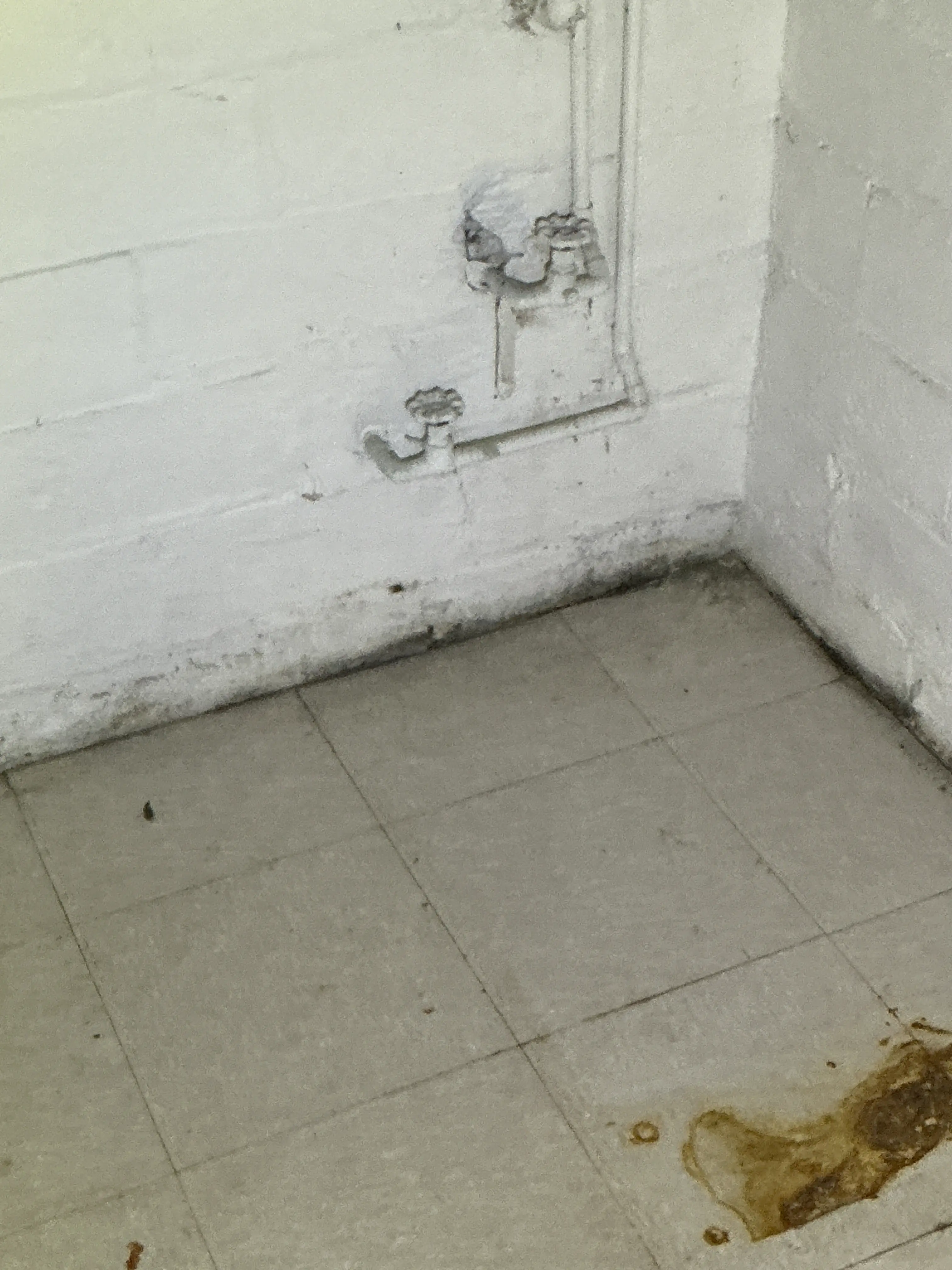 Moisture damage and mold growth along basement wall and tile floor 2026-07-24