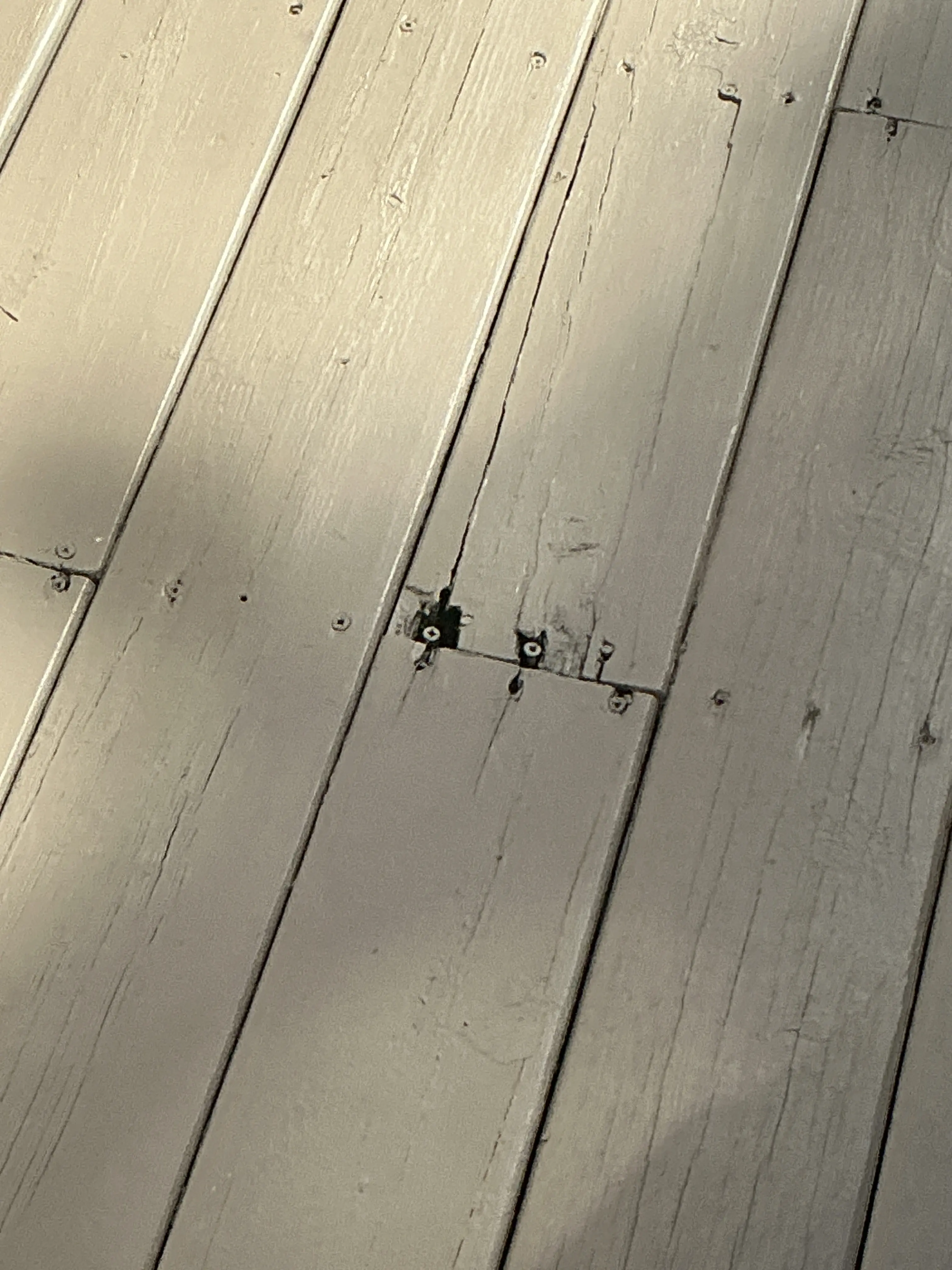 Painted wooden floorboards with visible screws and seam damage 2026-08-01