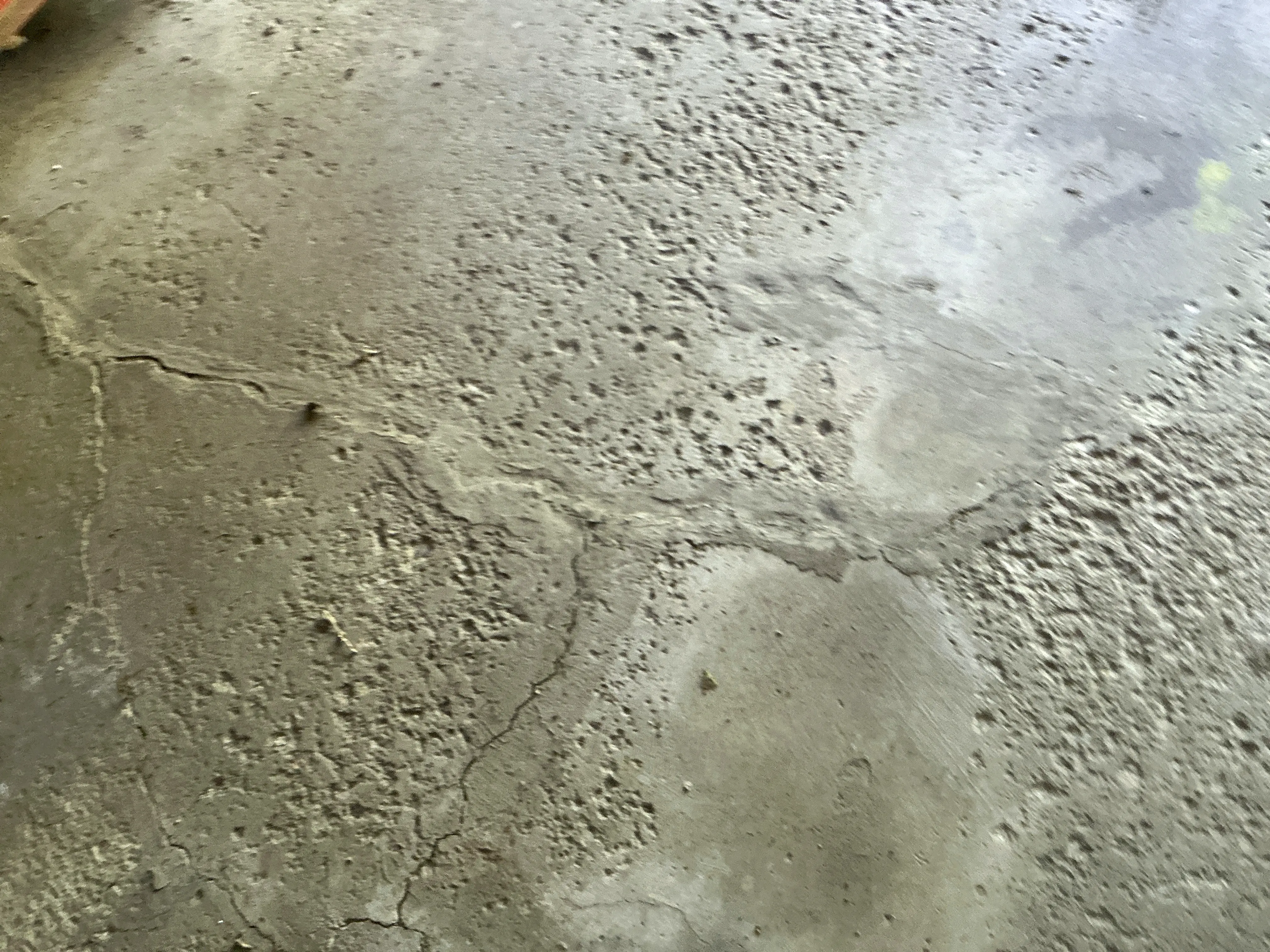 Cracked and pitted concrete floor slab showing surface deterioration during mold inspection 2026-08-06